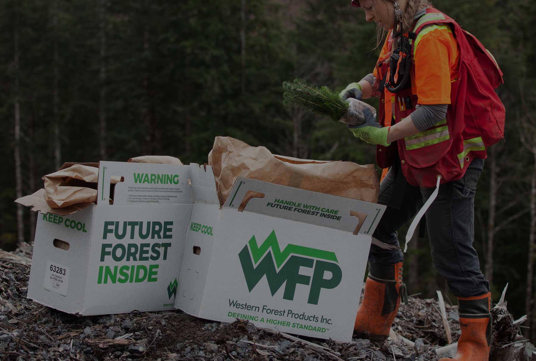 Western Forest Products Certification sustainable