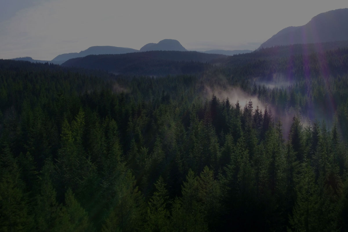 Western Forest Products Sustainability cedar