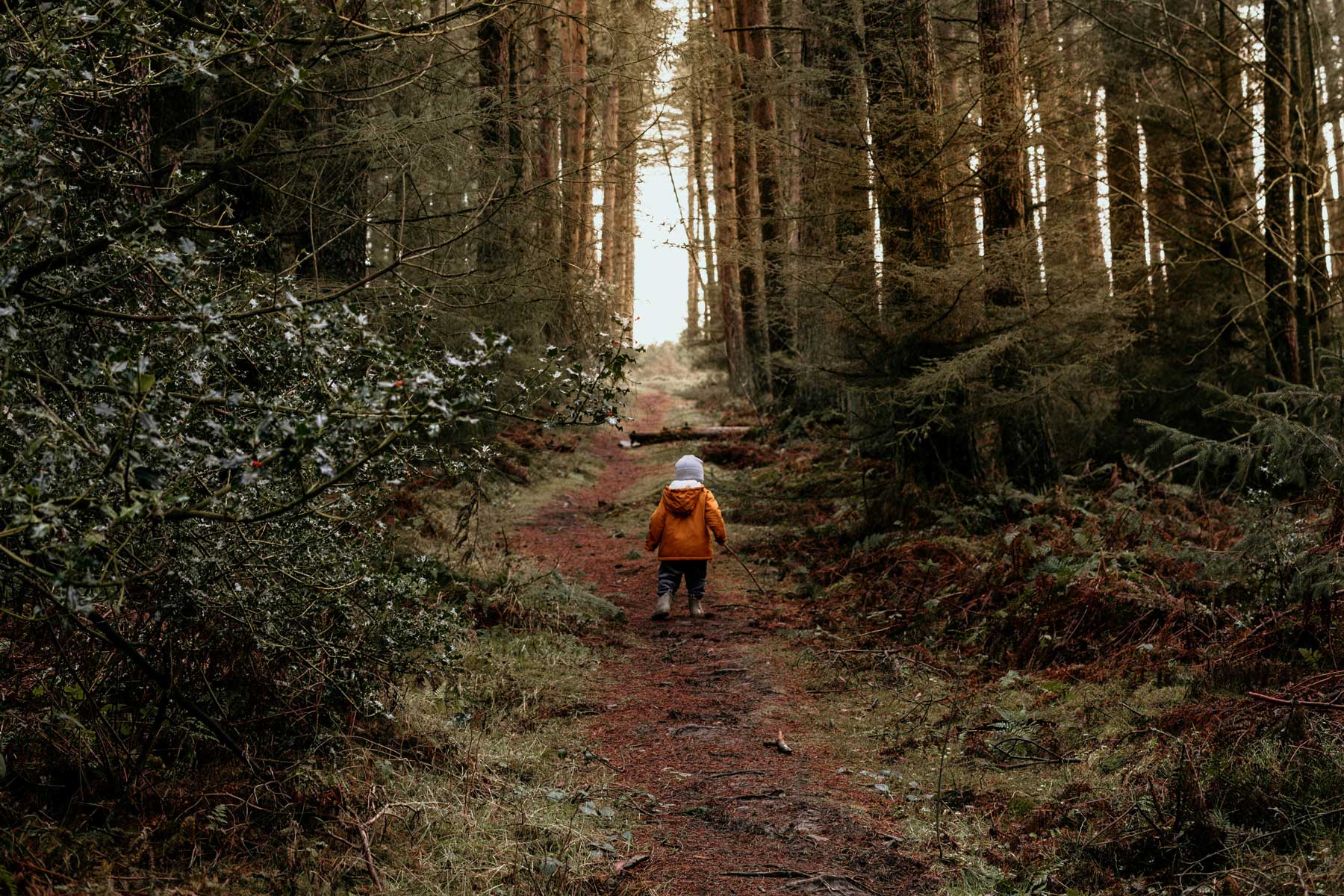 About Western Forest Products sustainable