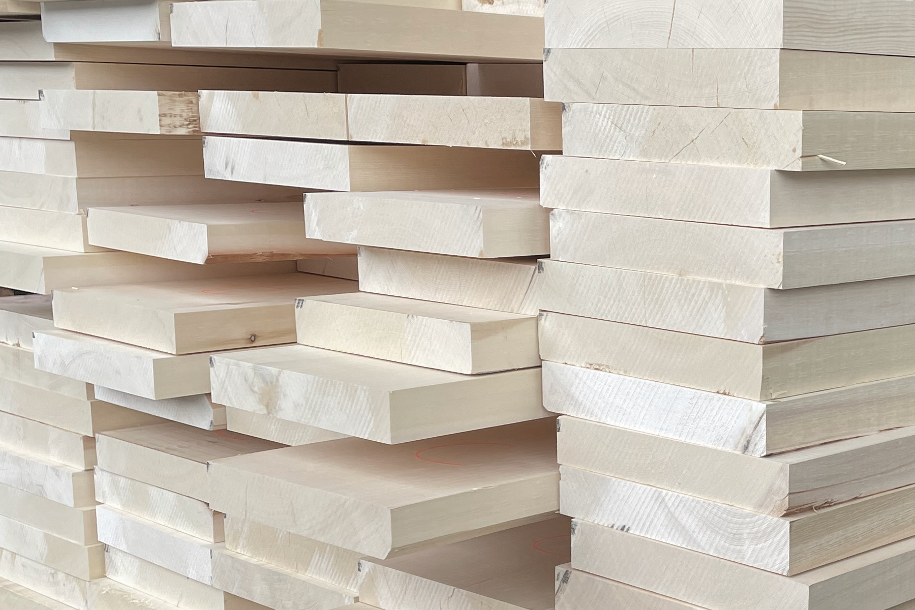 Yellow Cedar Lamstock Western Forest