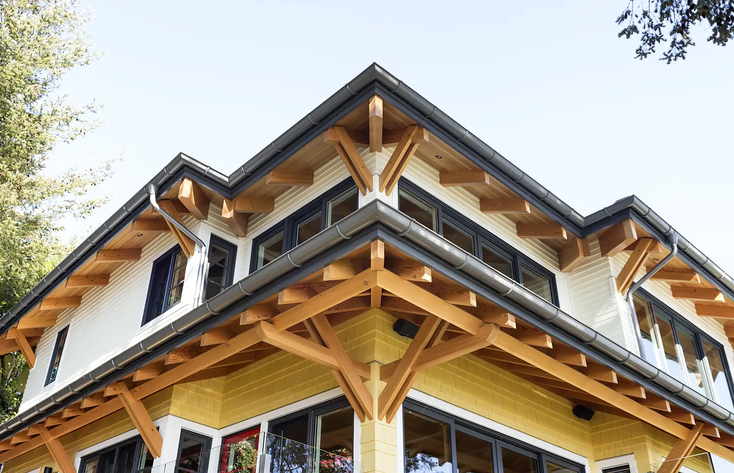 Doug-fir timbers Western Forest
