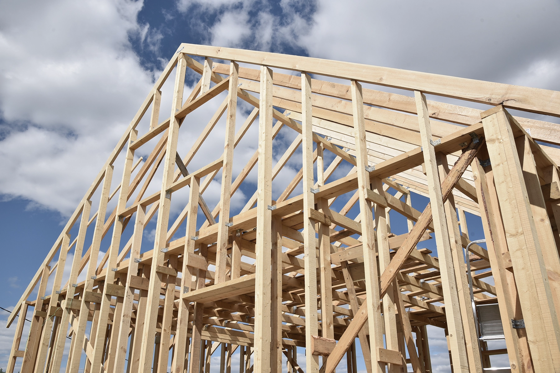 Framing softwood lumber