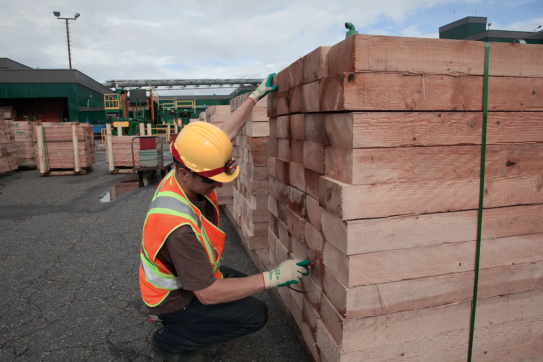 Western Forest Products forestry Careers