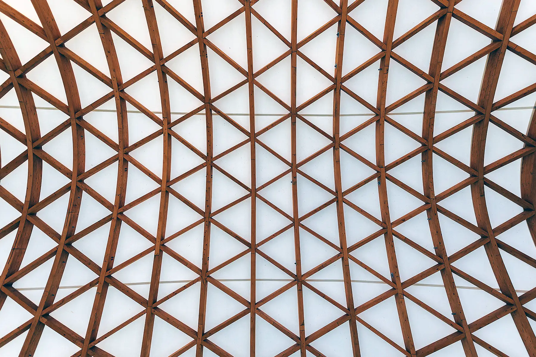 Custom Curved Glulam Western Forest