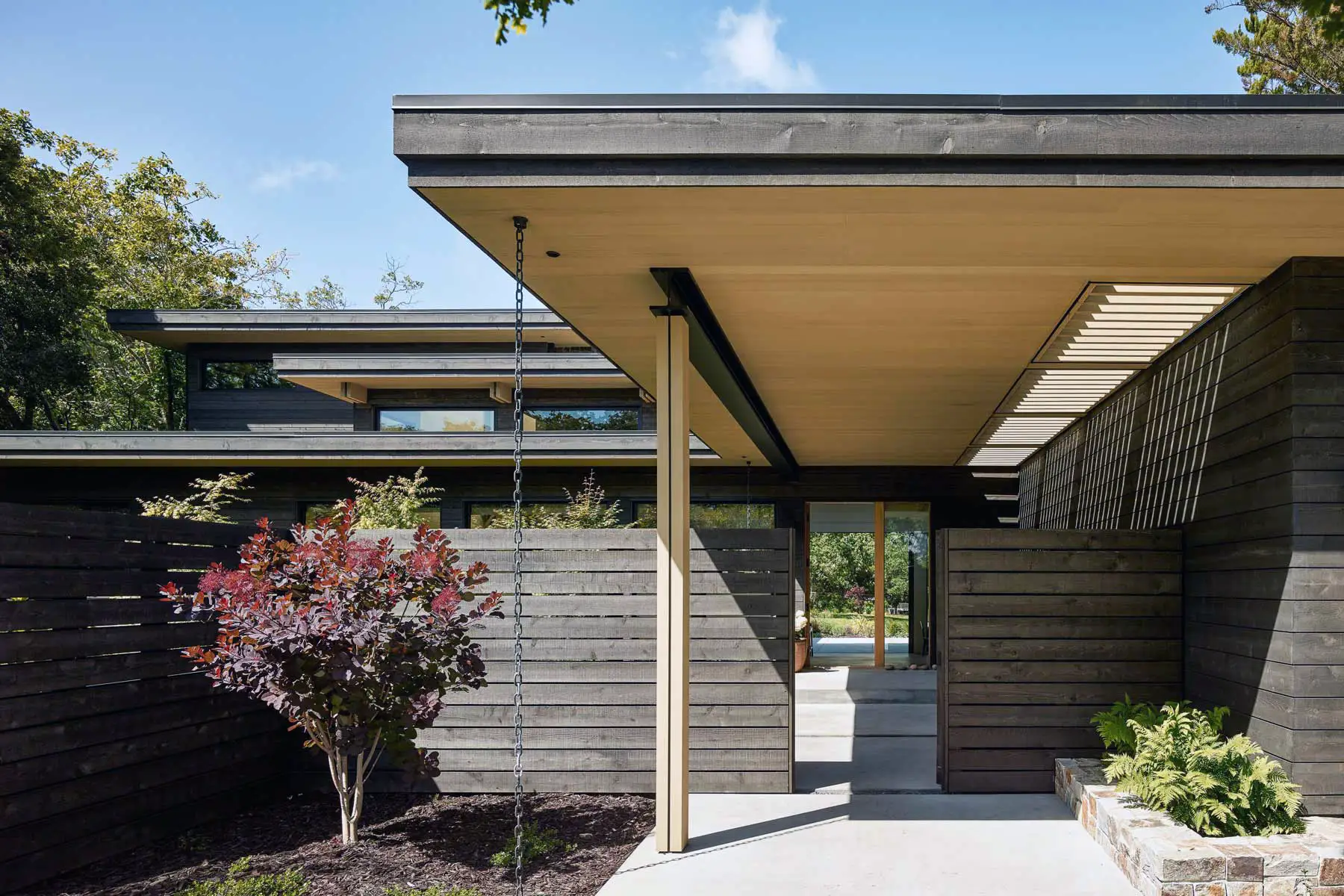 Fencing western forest