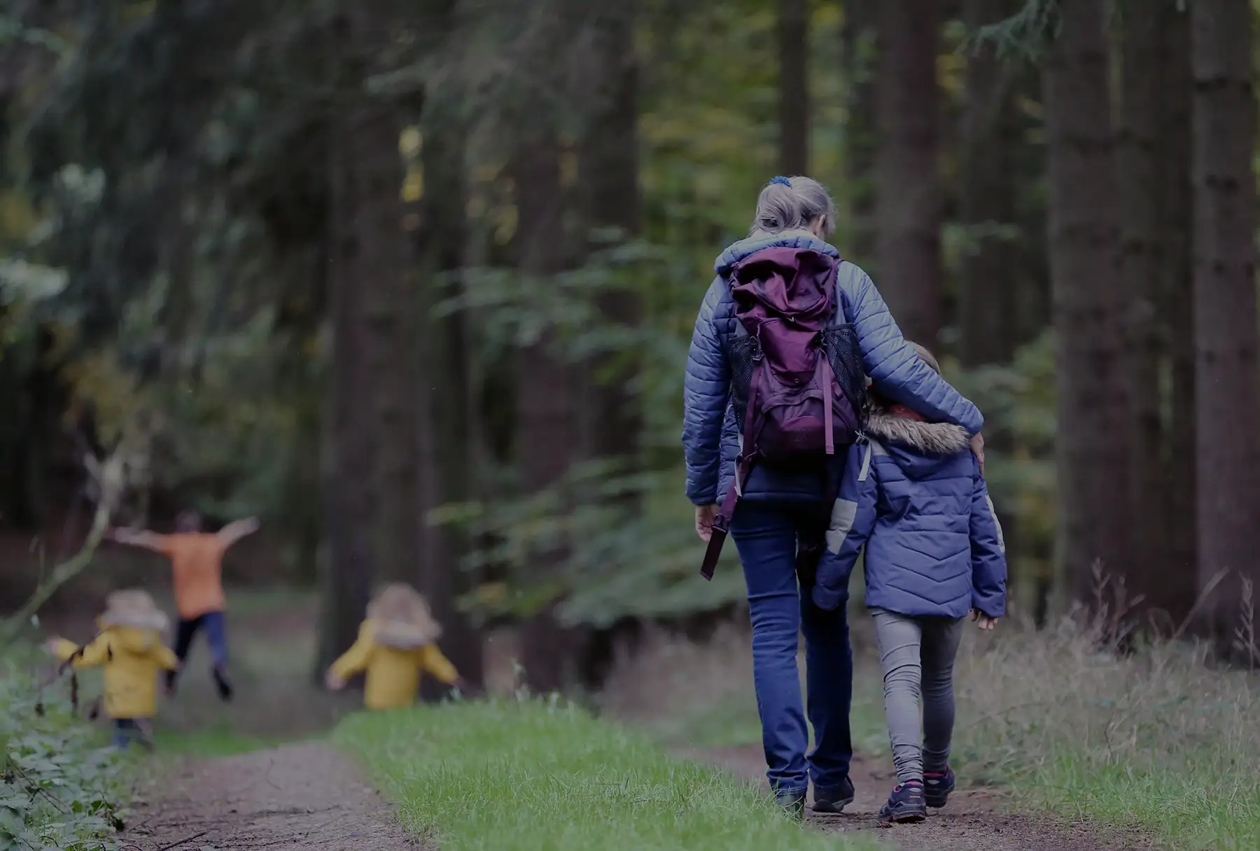 Exterior Appearance Western Forest Products Stewardship