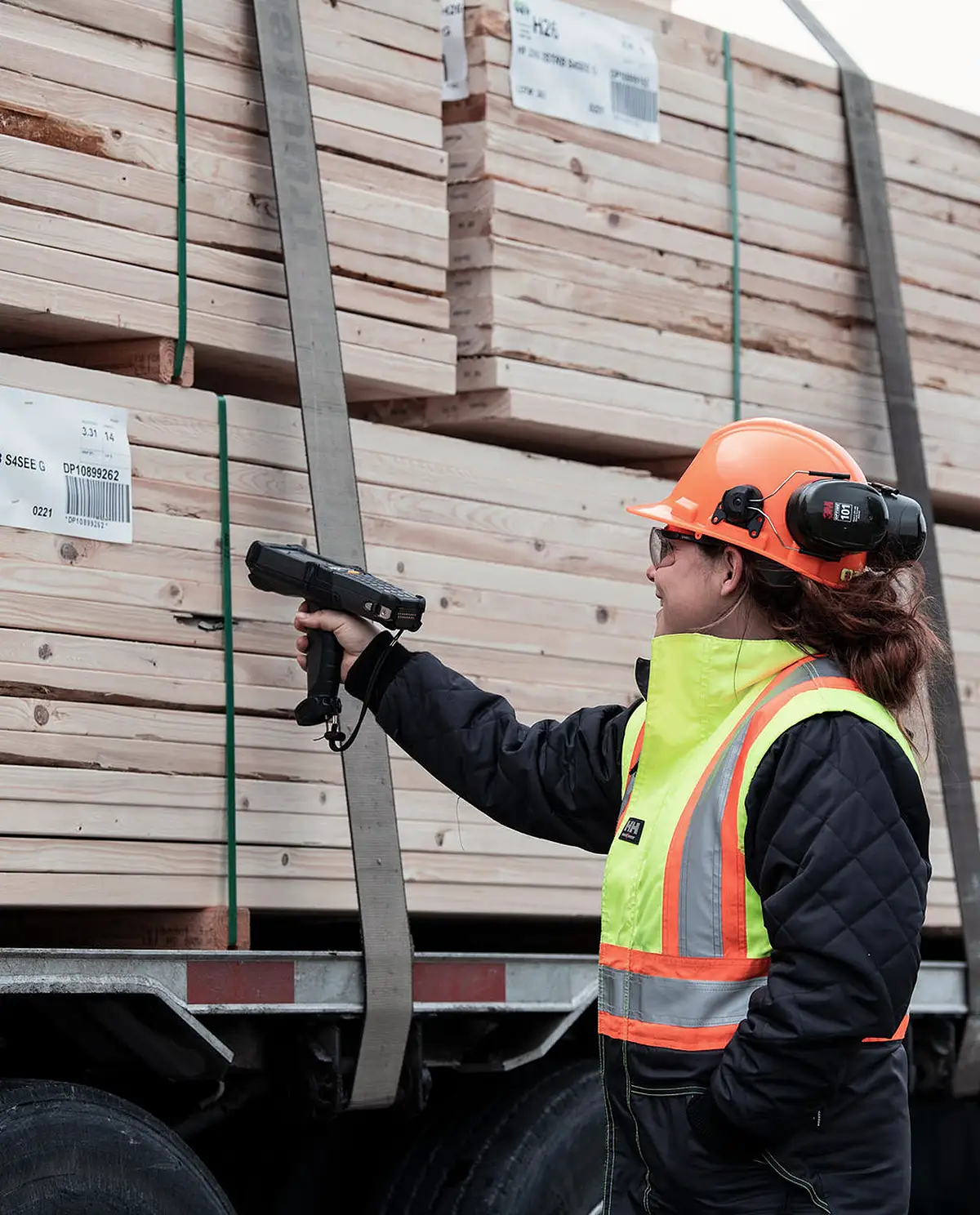 forestry careers western