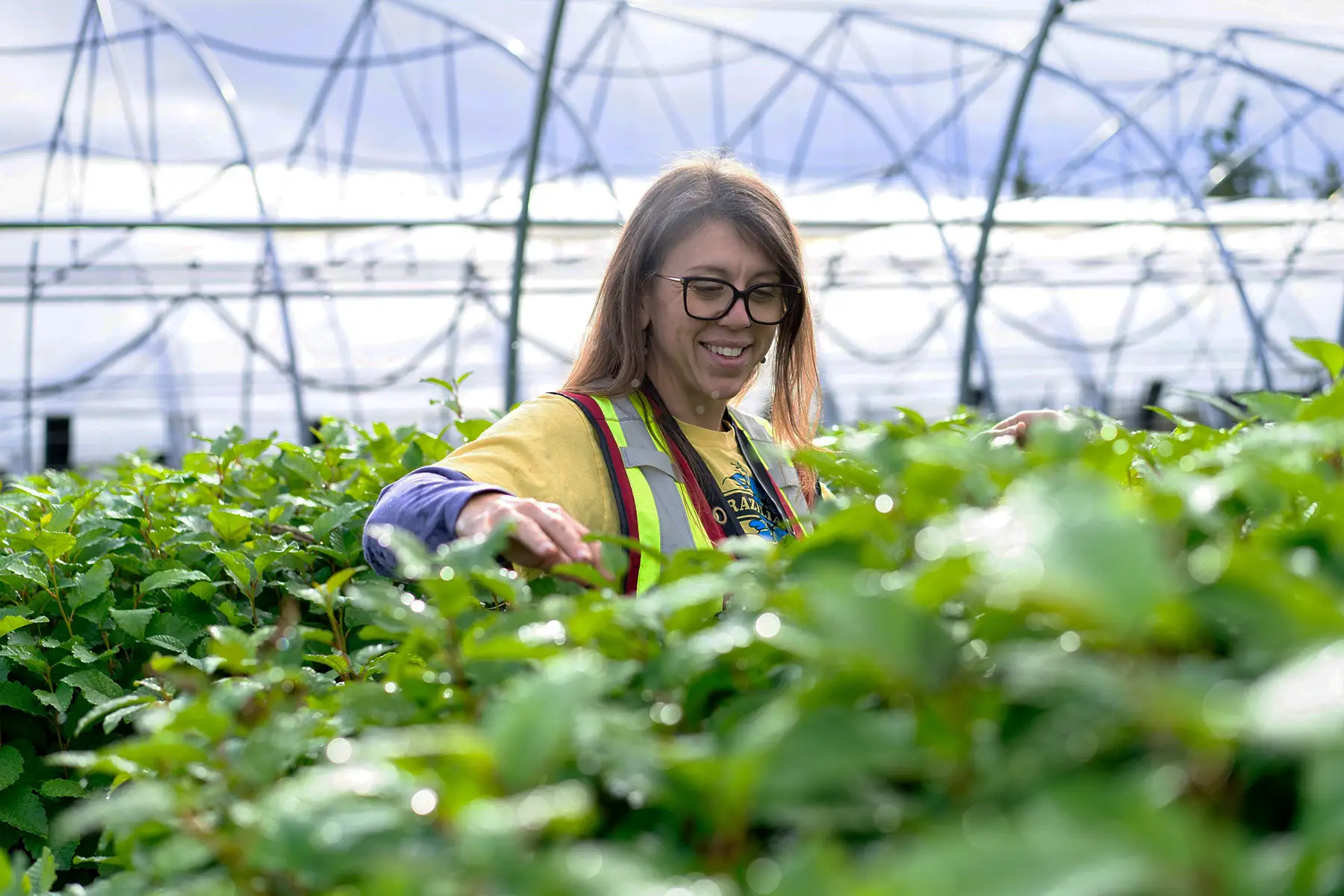 Western Forest Products Careers