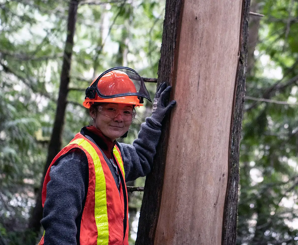 Kindry_Mercer careers western forest products