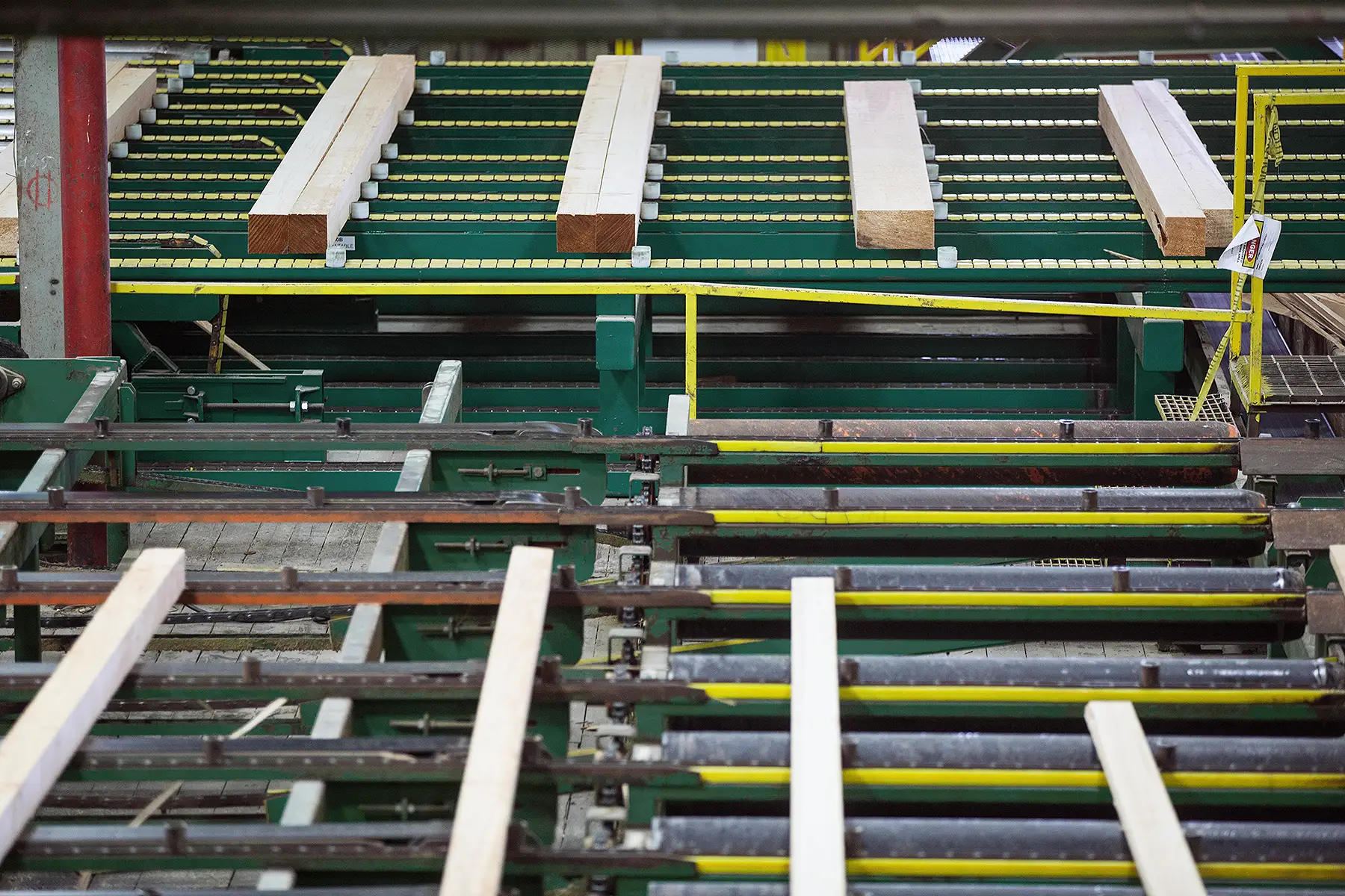 western forest people